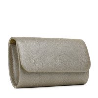 Клач жіночий золотий блискучий 5883 S